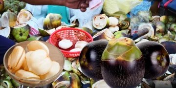 Tal-er shans shudhu swadei noy, pushtiteo chomokprod