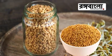 Fenugreek