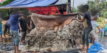 Bangladesher Chamra Roptani Chin-kendrik: LWG Sondher Ovav o Bajarer Challenge